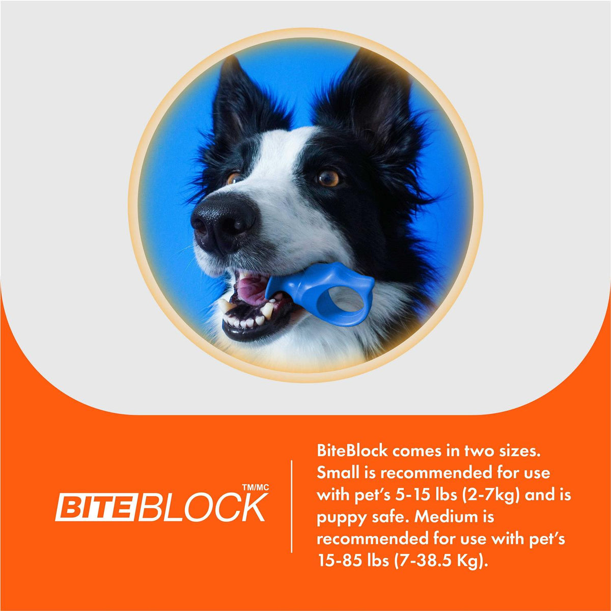 Bite Block Pet Toothbrushing Aid E1532