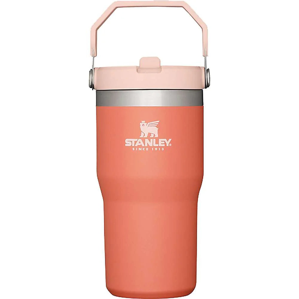 20oz Flip Straw Tumbler I76794