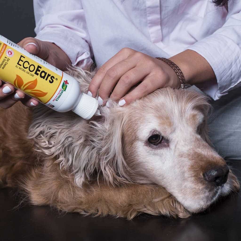 Dog Ear Cleaner W286