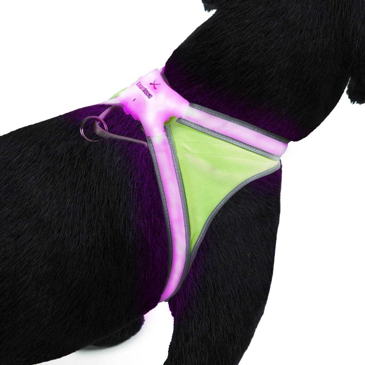 LED Reflective Dog Harness B54353