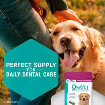 Dental Hygiene Chews Dogs O675