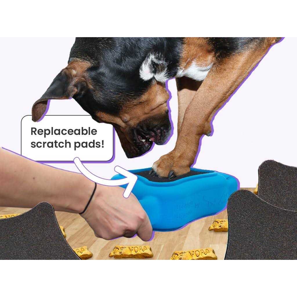 Dog & Cat Grooming Toy M80072