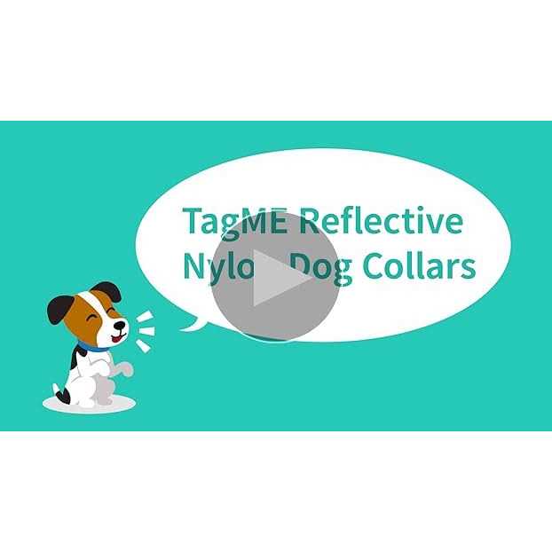 Reflective Nylon Adjustable Dog Collar with Quick Release Buckle H38400