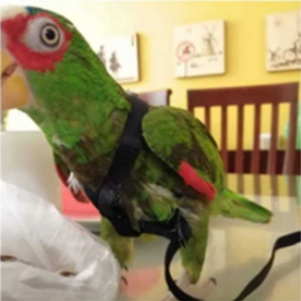 Adjustable Bird Harness and Leash U328101