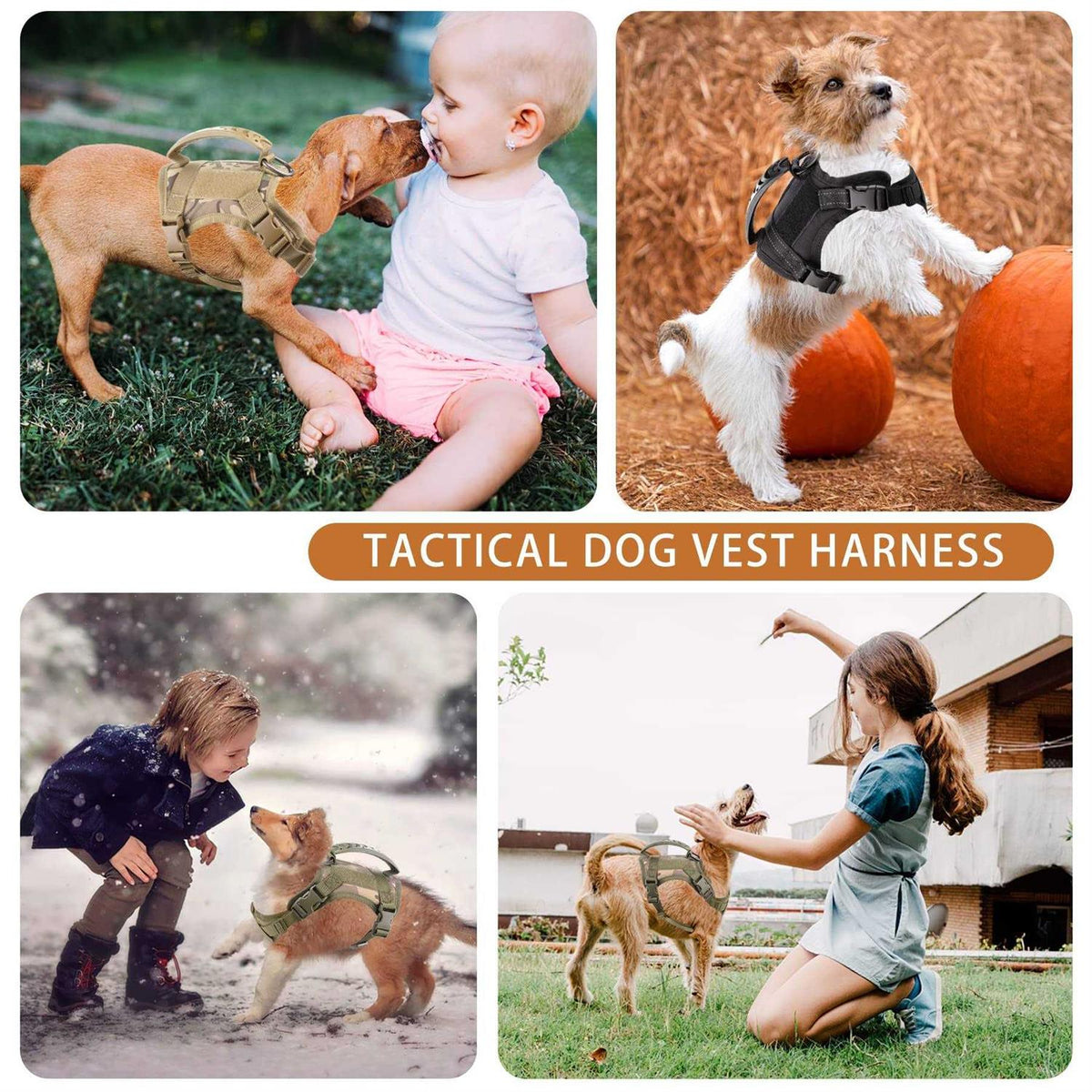 Tactical Dog Harness with Handle and Leash Set P6834