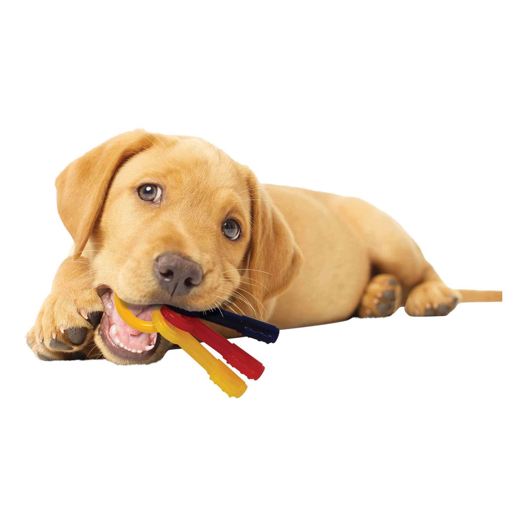 Puppy Chew Teething Keys A5718