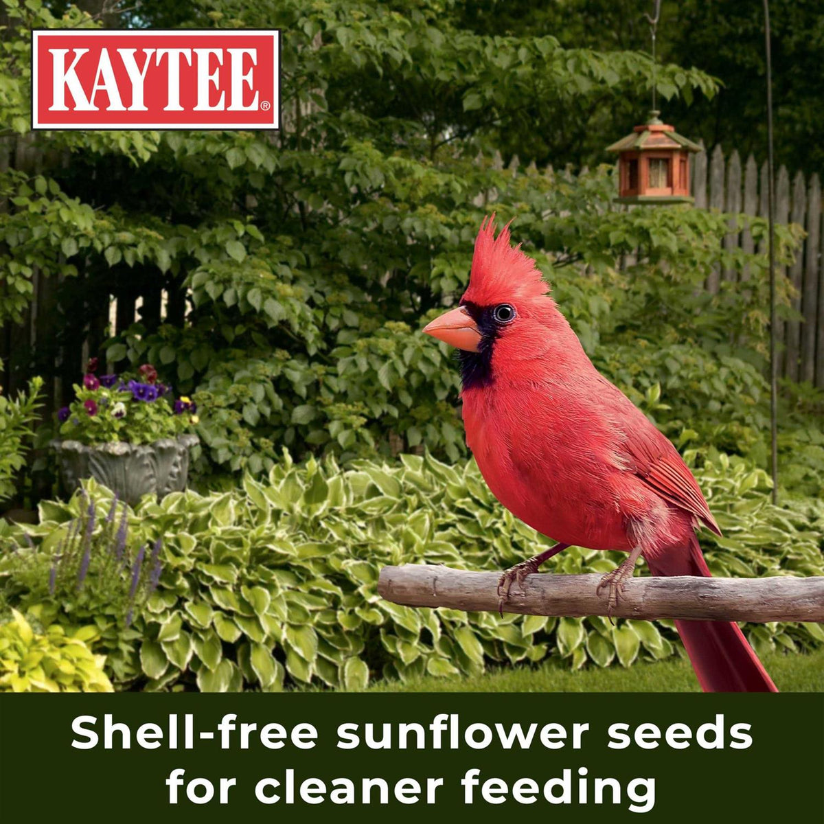 Nut & Fruit Blend Wild Bird Food W902