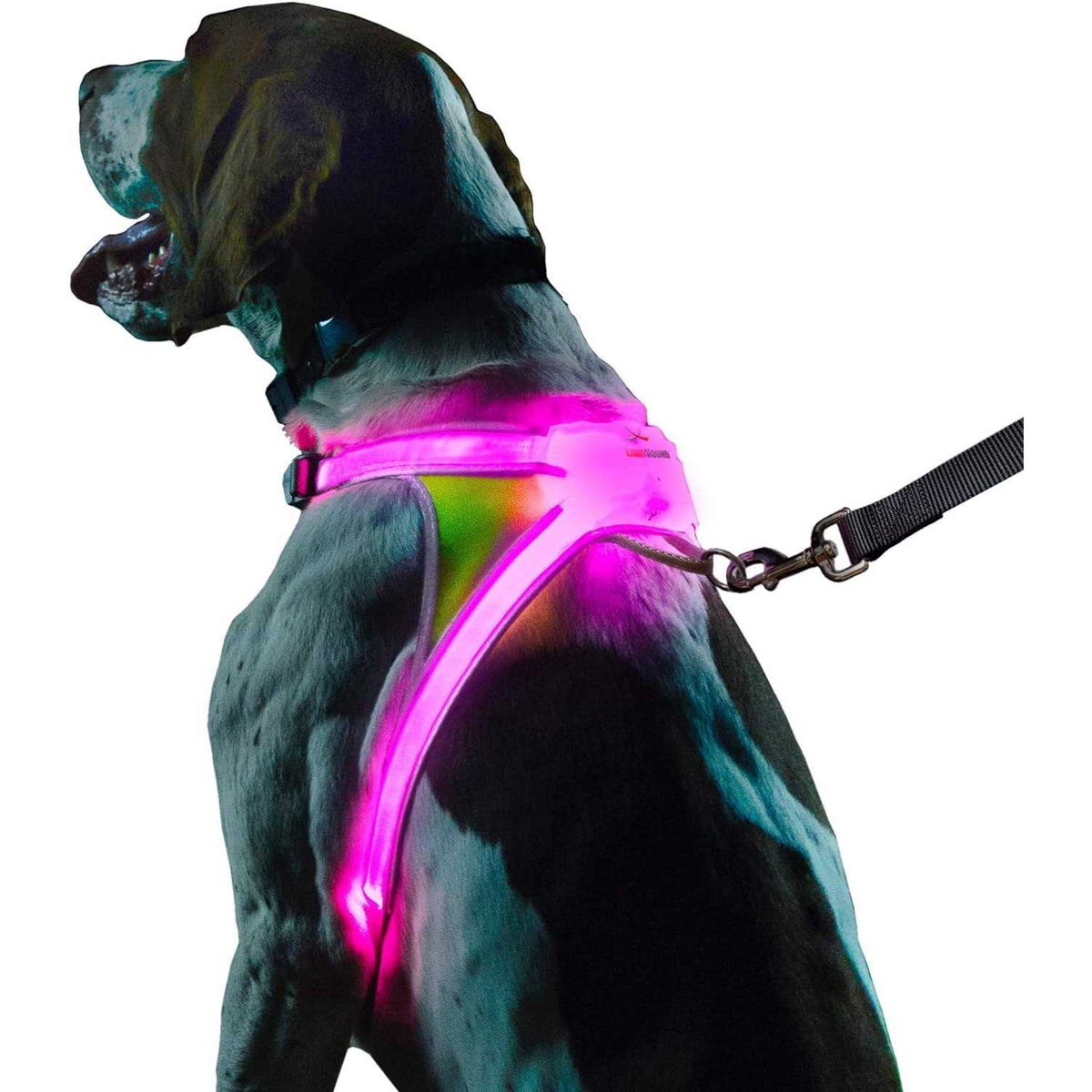 LED Reflective Dog Harness B54353