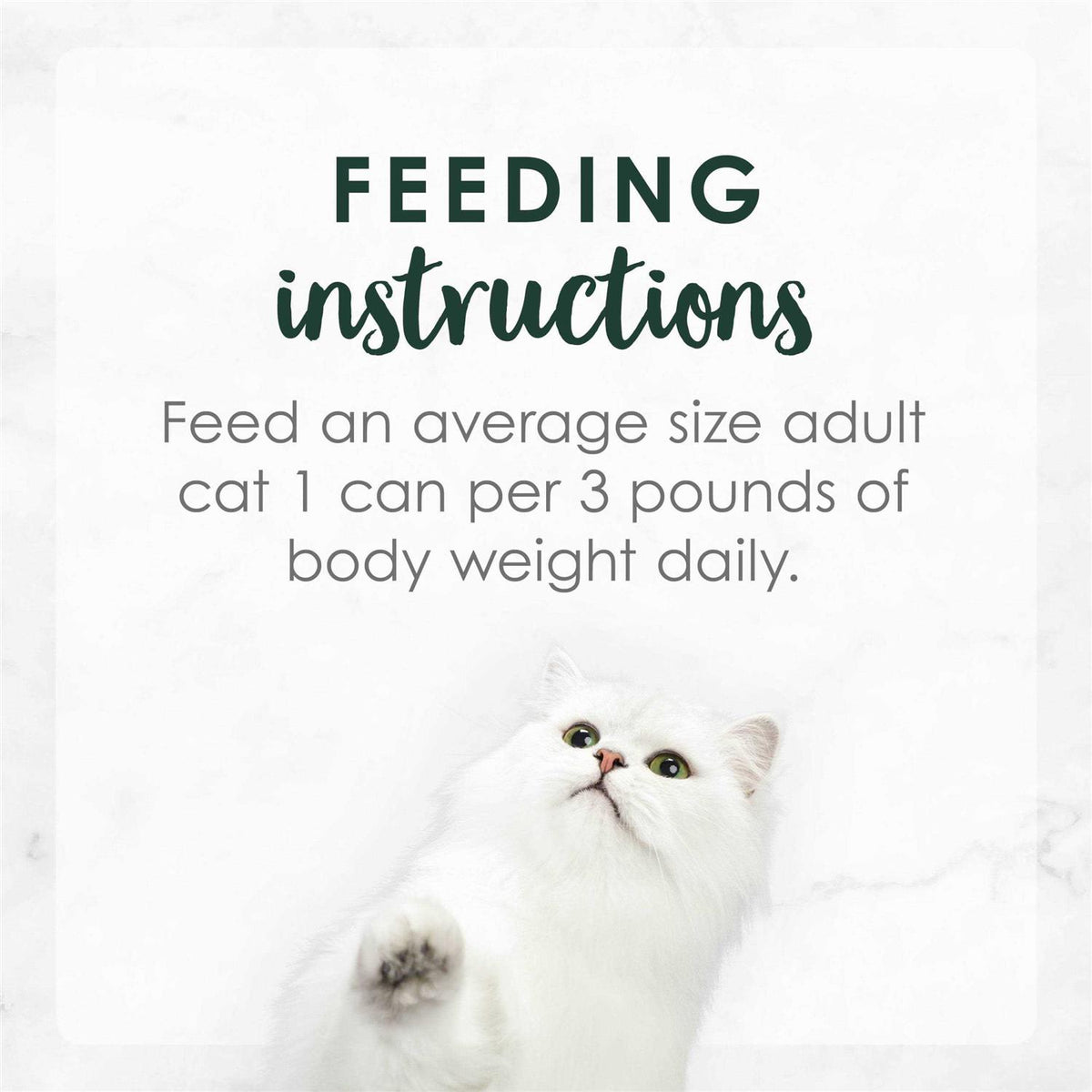 Wet Cat Food W56018