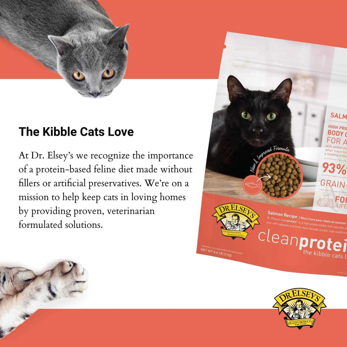 Dry Cat Food Salmon C44463
