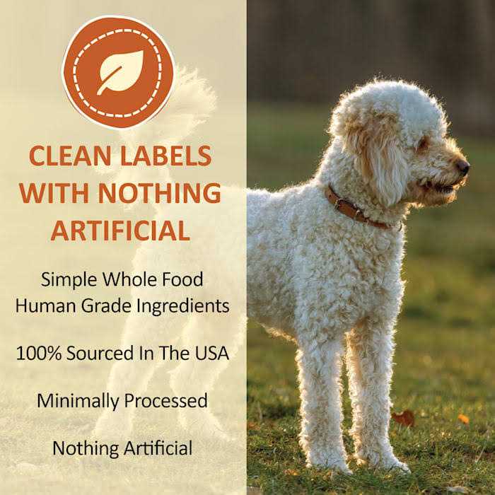 Freeze Dried Pumpkin Powder for Dogs & Cats A609544