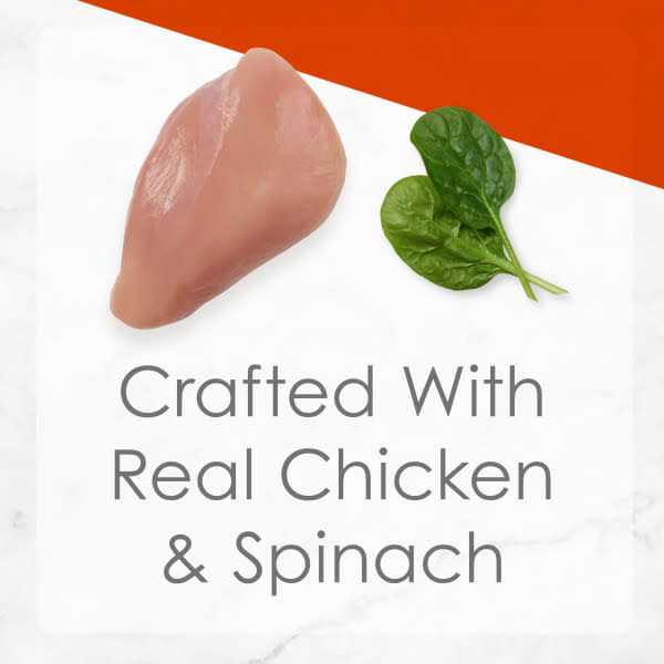 Shredded White Meat Chicken Wet Cat Food C917