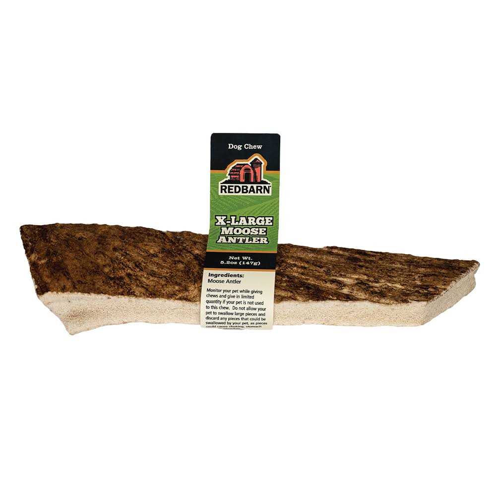 Moose Antler Dog Chew K650851