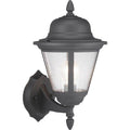 Black 16 inch Outdoor Wall Lantern with Clear Seeded Glass N97562