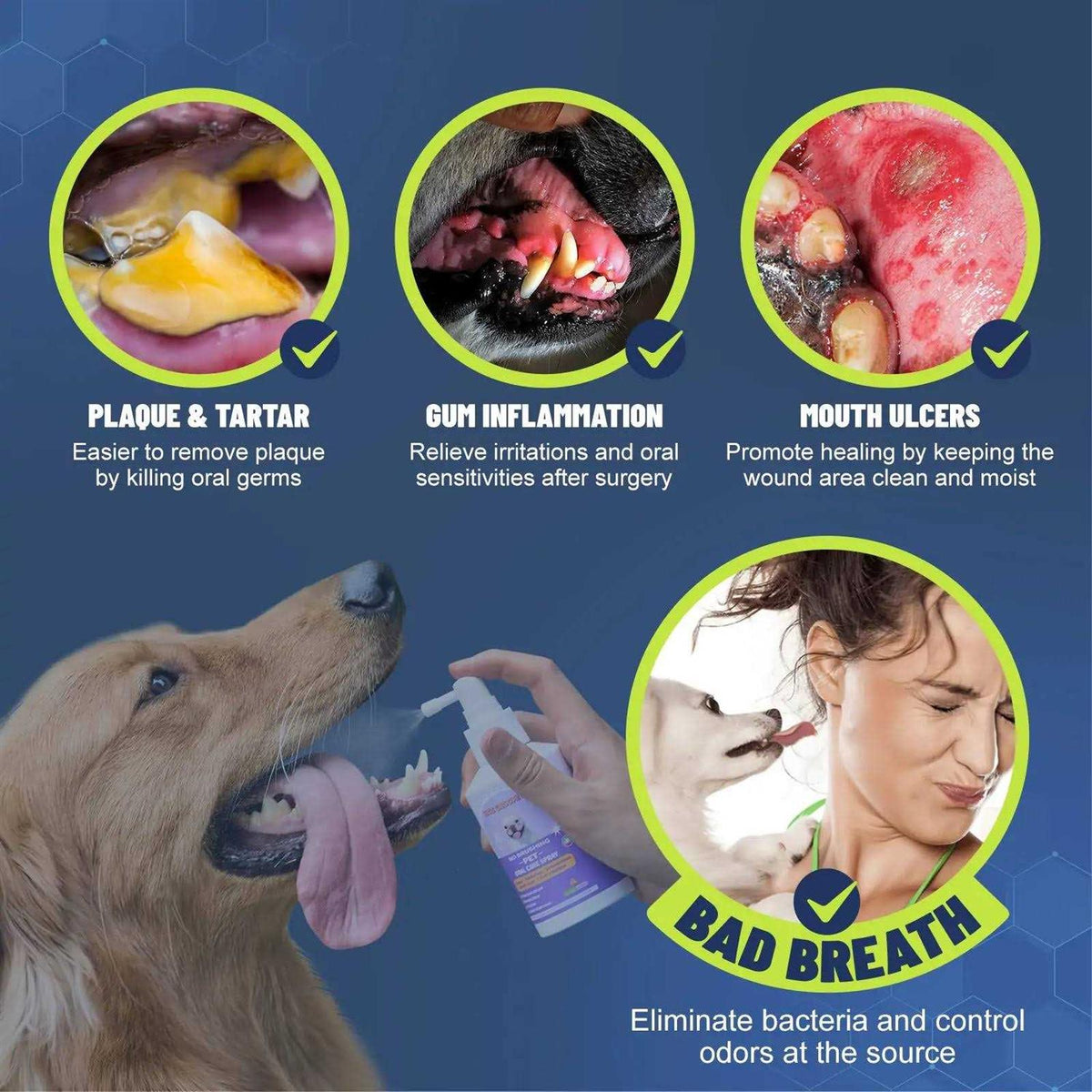 Dog Cat Oral Care Spray 5.1 Oz Z377447