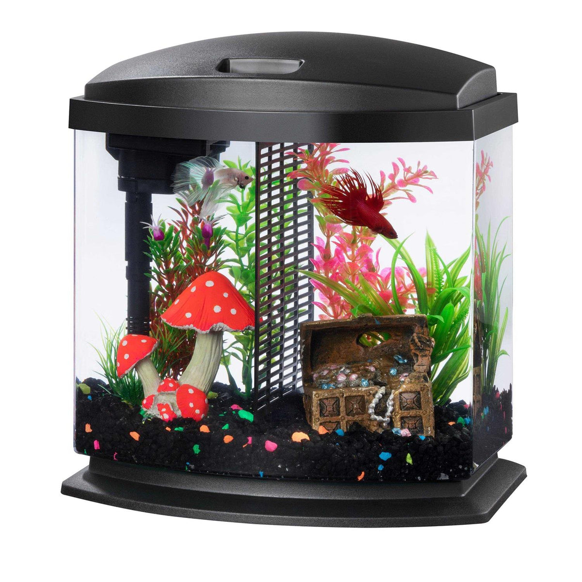 2.5 Aquarium Kit Black B8404