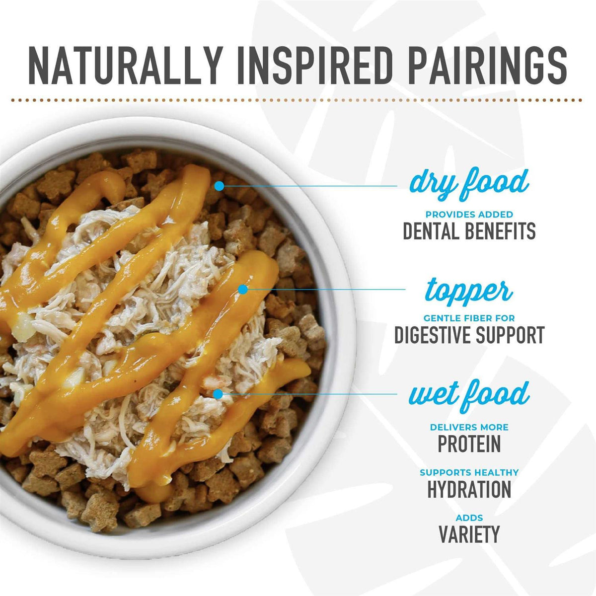 Dry Dog Food P644