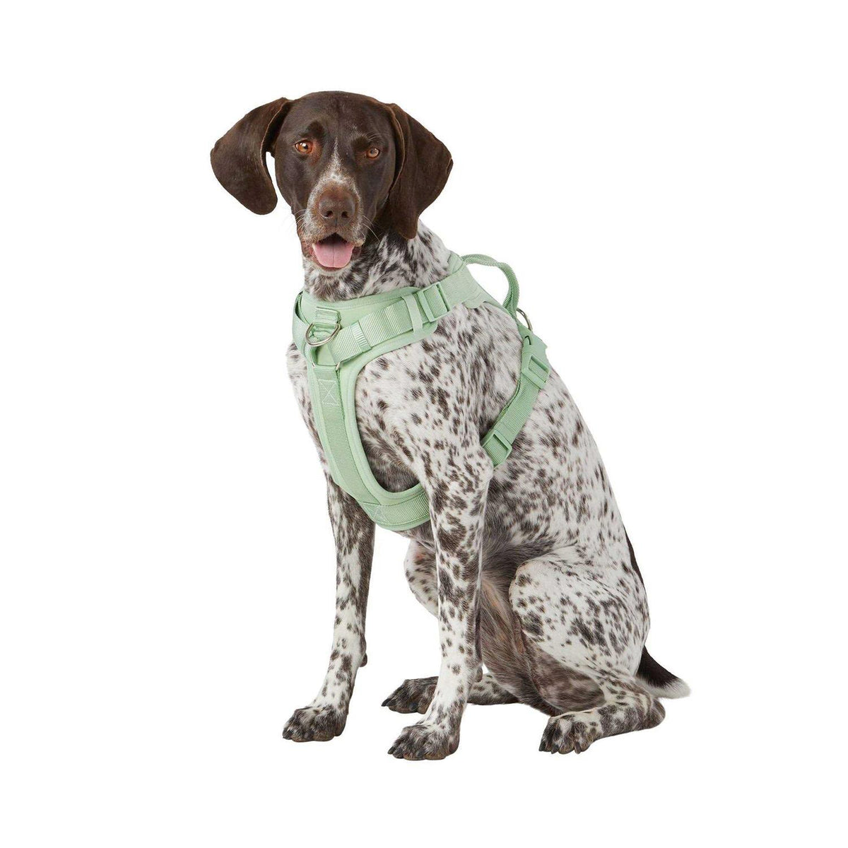 Adjustable Dog Harness V18038