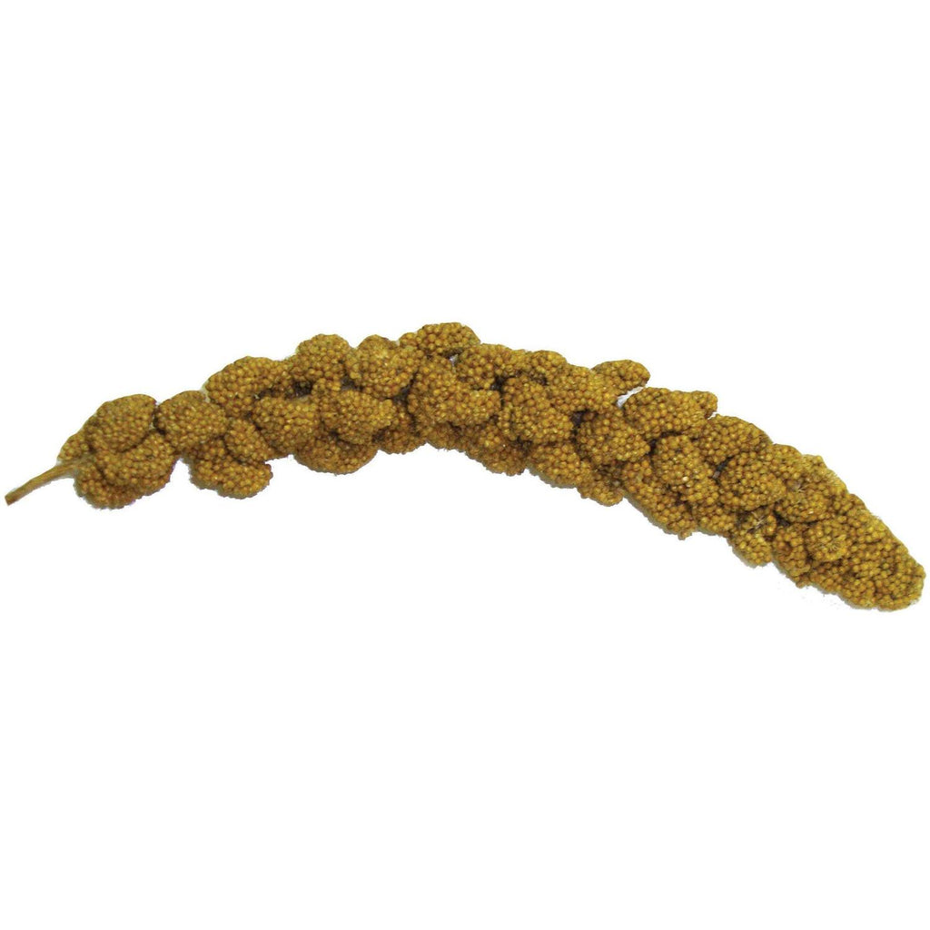 Millet Spray G943216