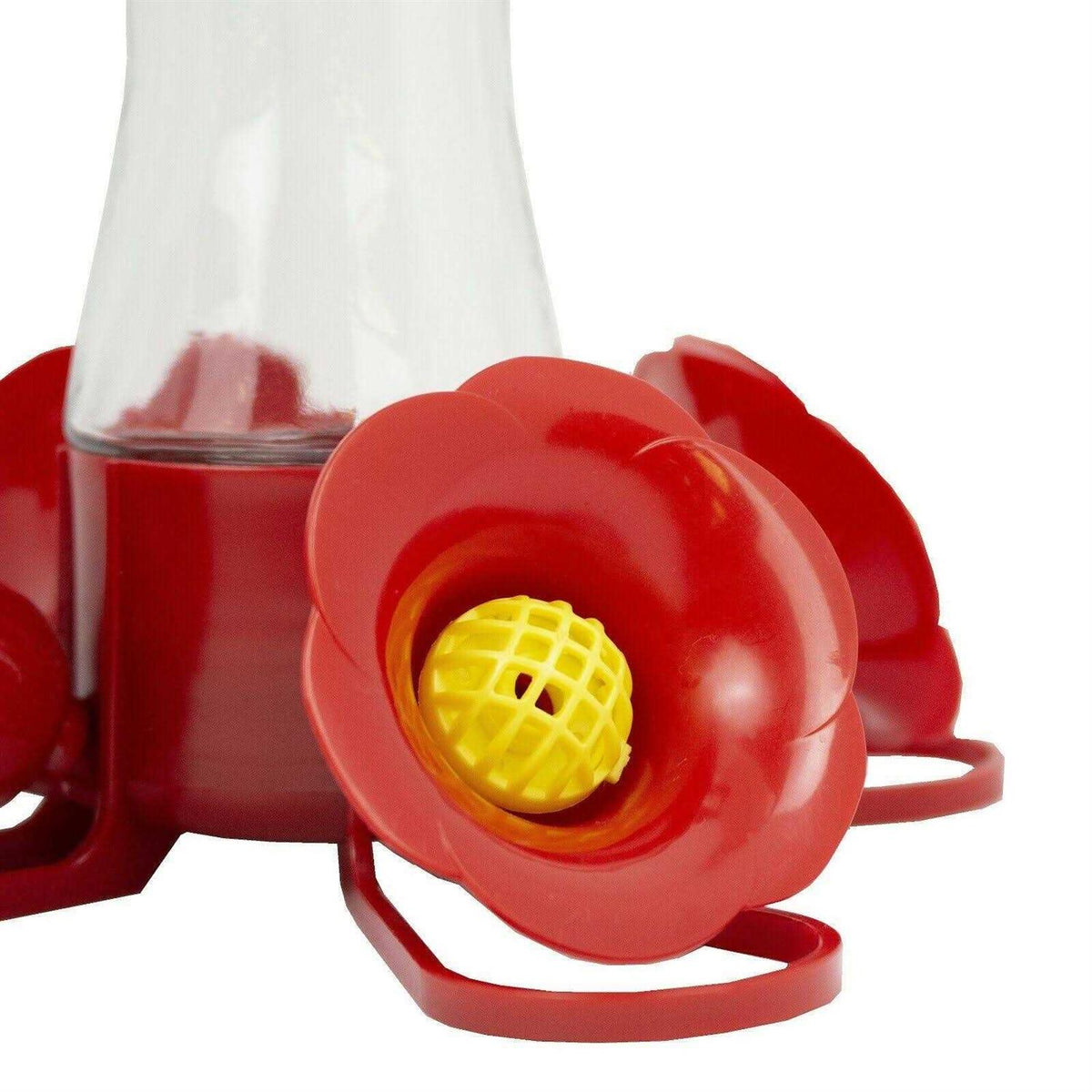 8 oz Glass Hummingbird Feeder Y191790