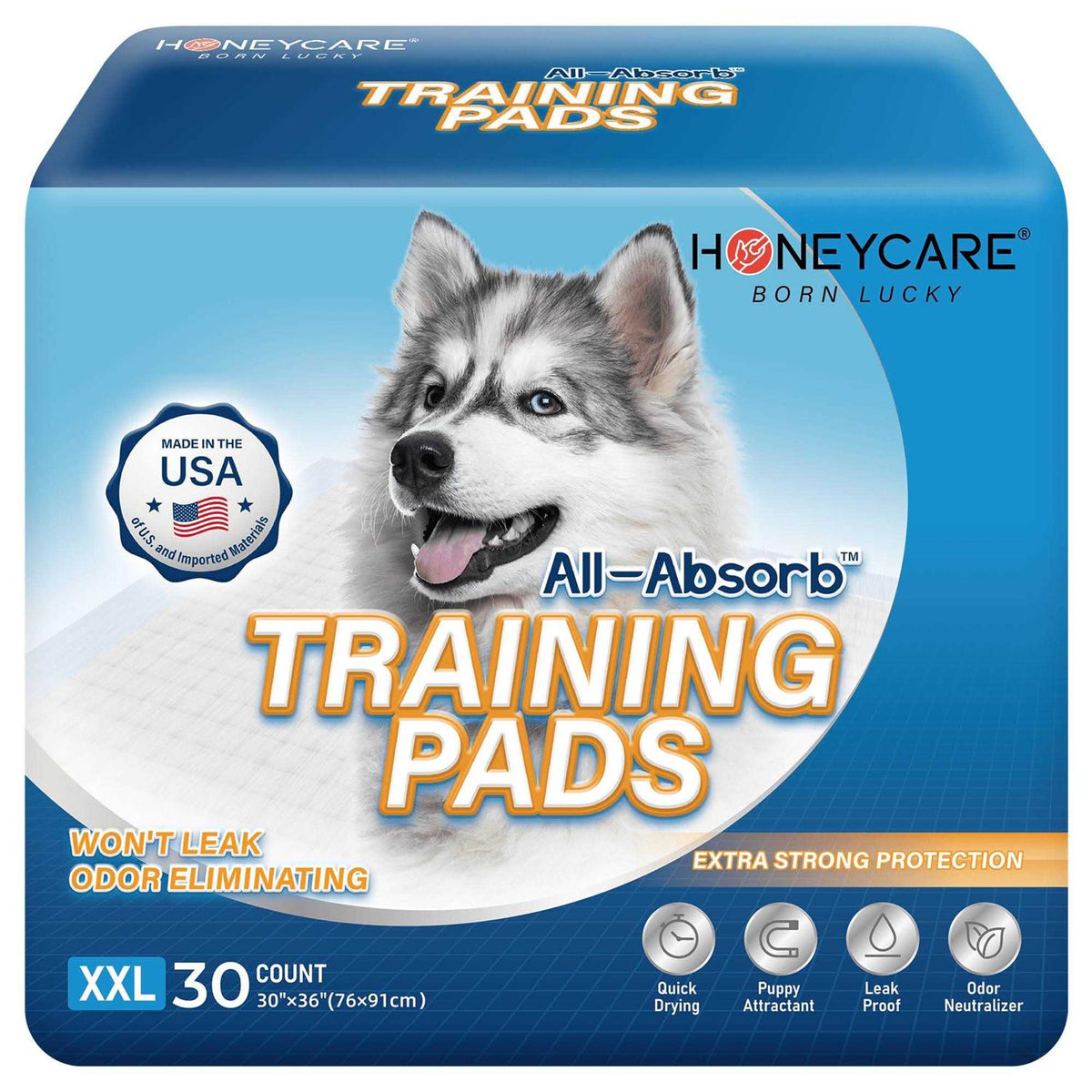Dog and Puppy Training Pads L7165