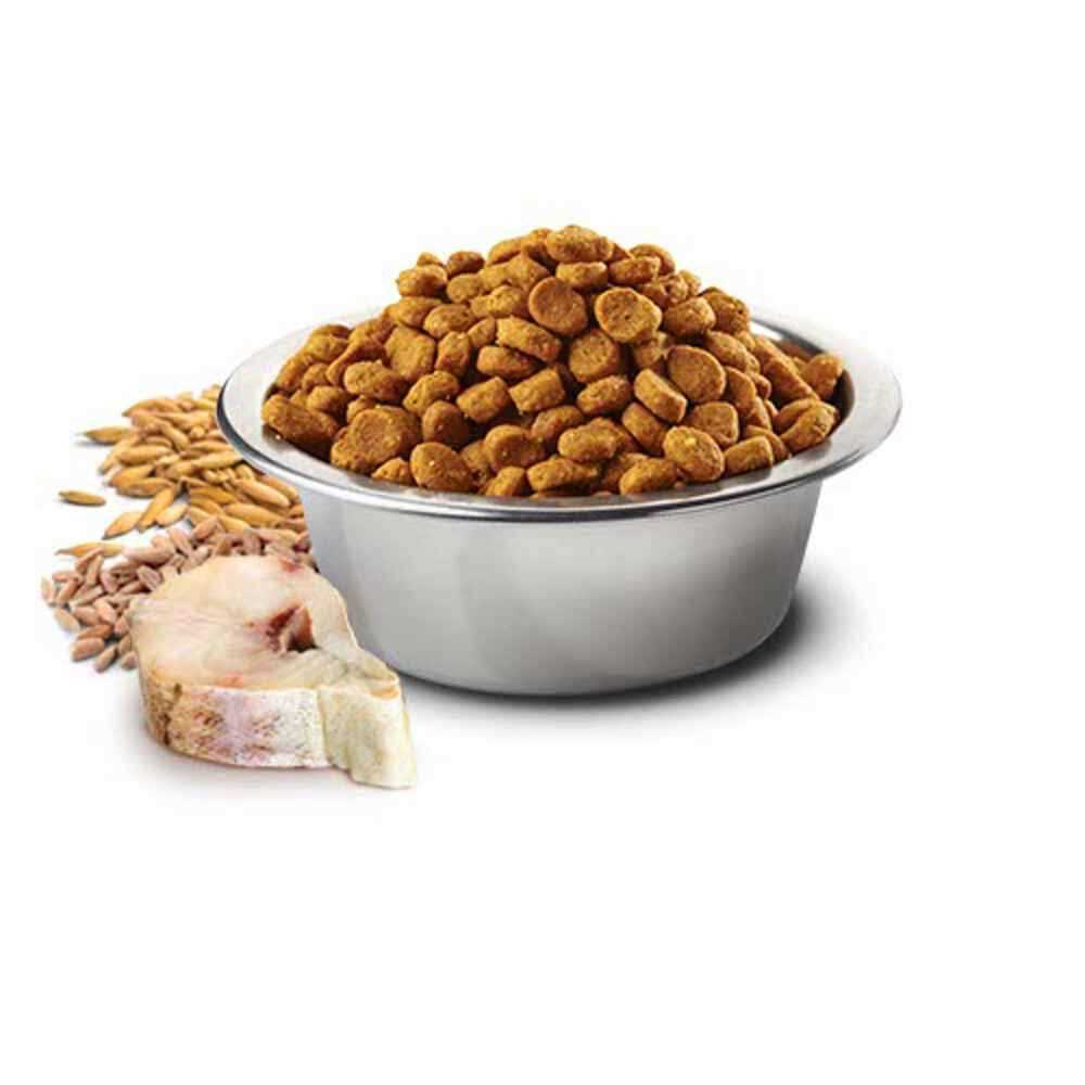 Cod & Orange Adult Mini Dry Dog Food I200251