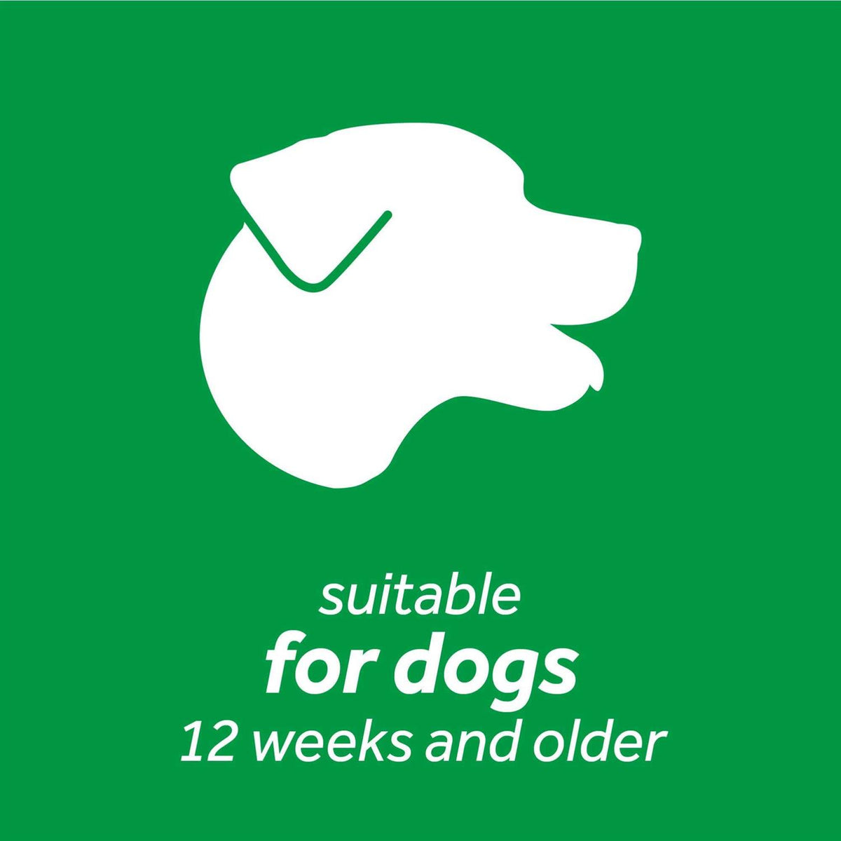 Dental Wipes for Dogs Q28209