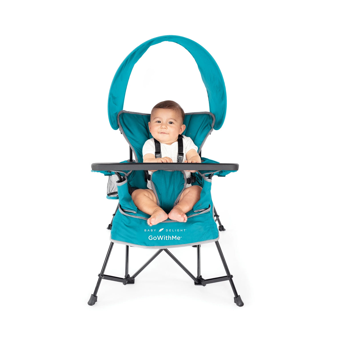 Portable Infant Chair with Removable Canopy, Teal D719