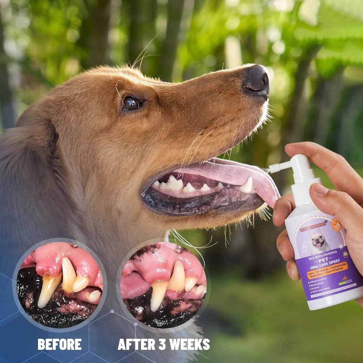 Dog Cat Oral Care Spray 5.1 Oz Z377447