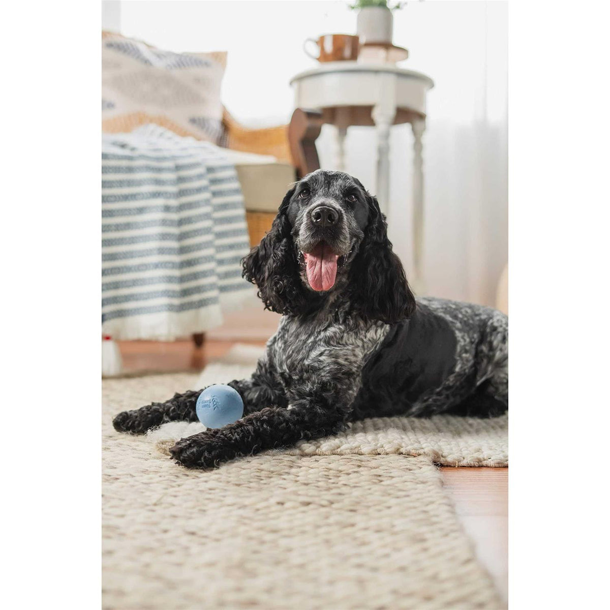 Rubber Balls and Chew Stick X59926