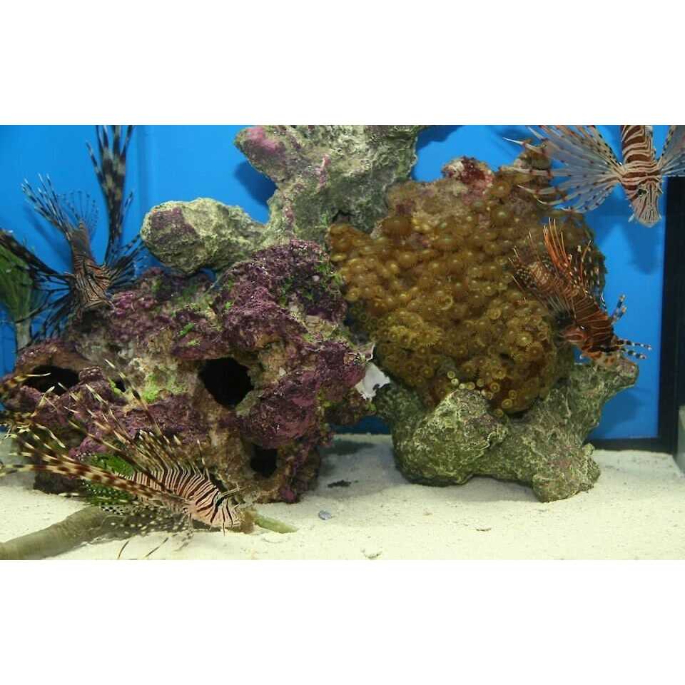 Natural Aquarium Base Rock E7000