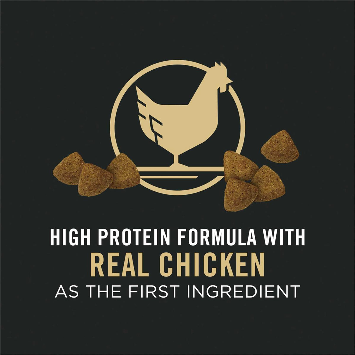 Chicken & Rice Formula Dry Dog Food E672607