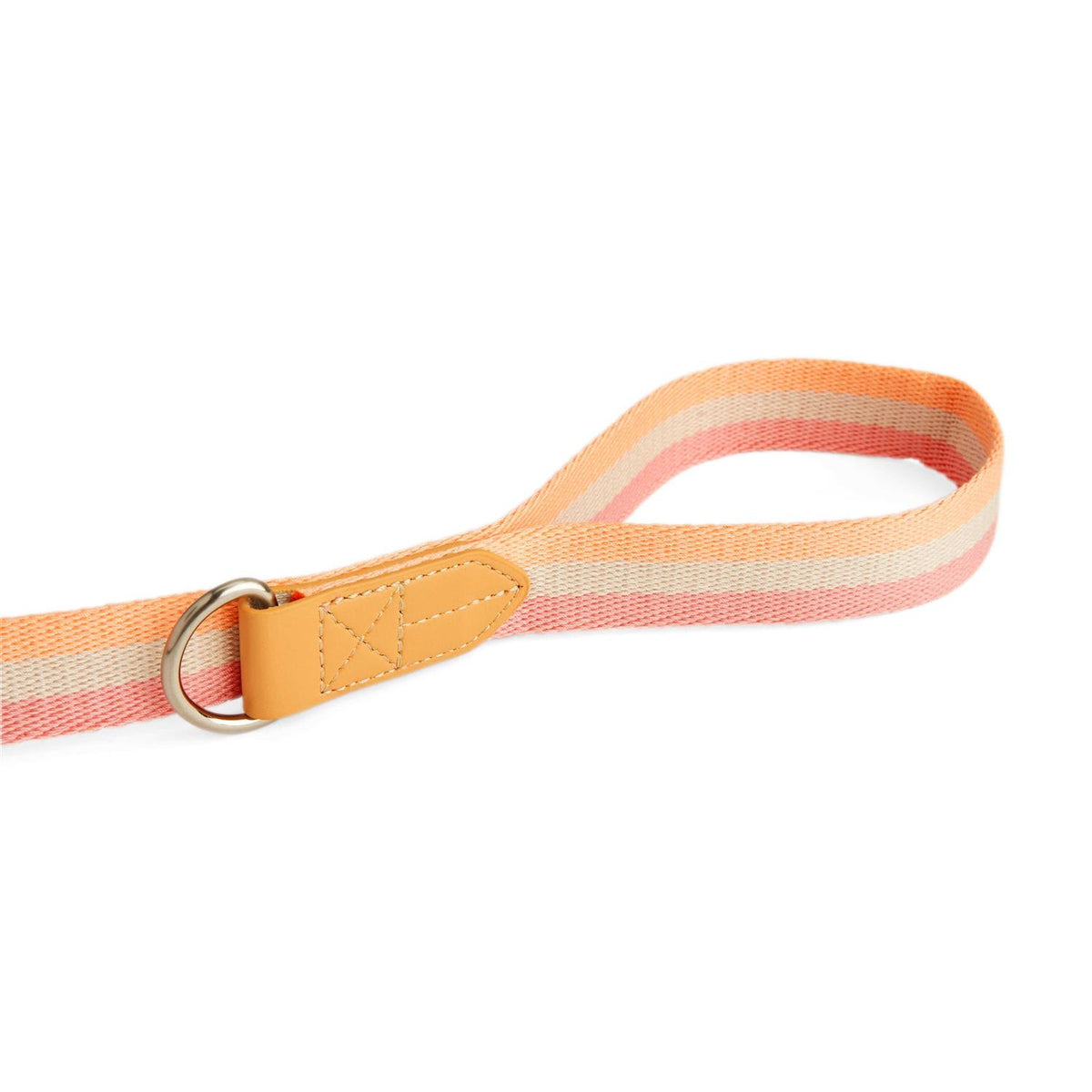 Dog Leash I775