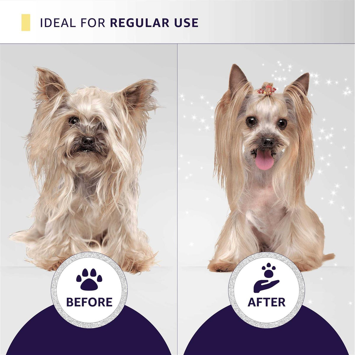 Cat and Dog Grooming Shampoo Conditioner and Sprays B7074
