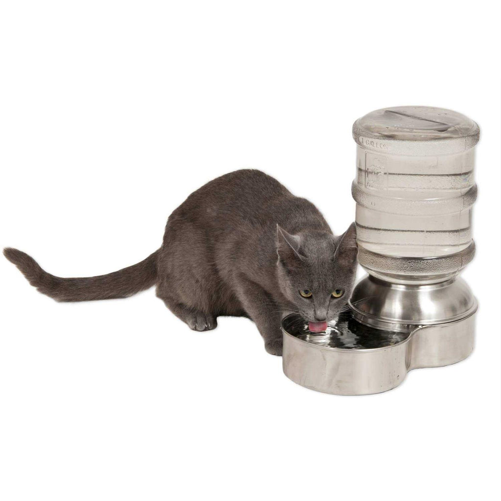 Stainless Steel Waterer Q5912