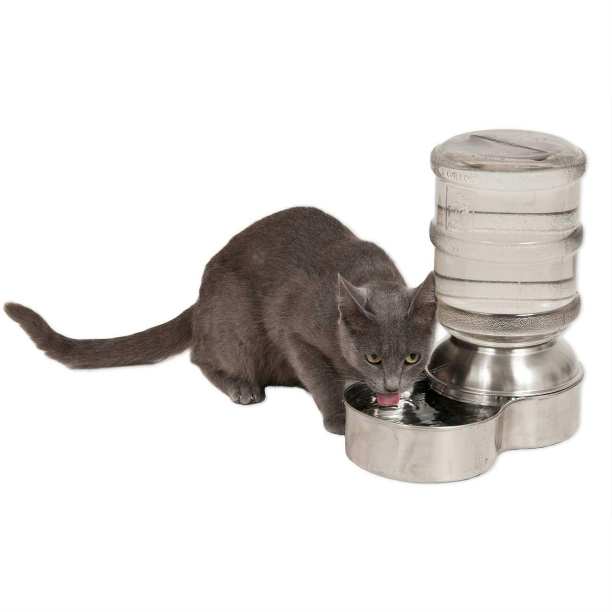 Stainless Steel Waterer Q5912