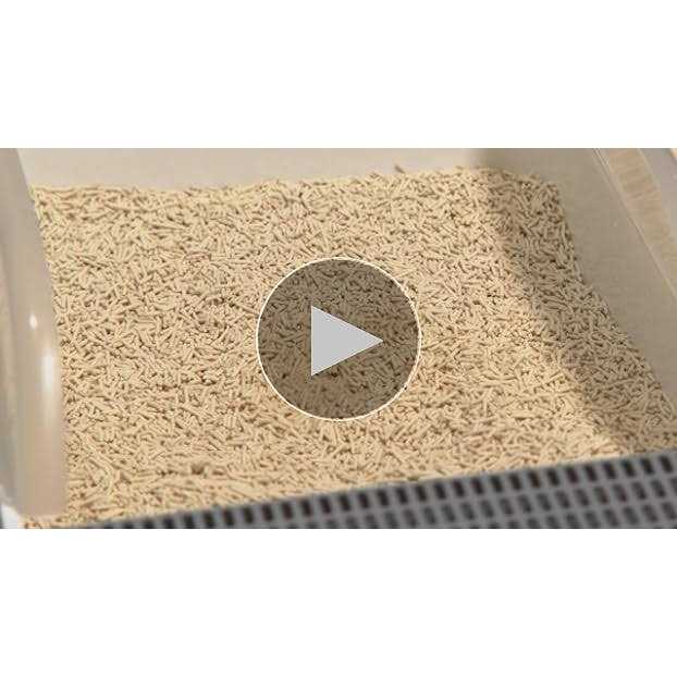 Tofu Cat Litter Clumping J314757