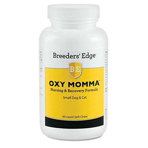 Nursing & Recovery Supplement K47252
