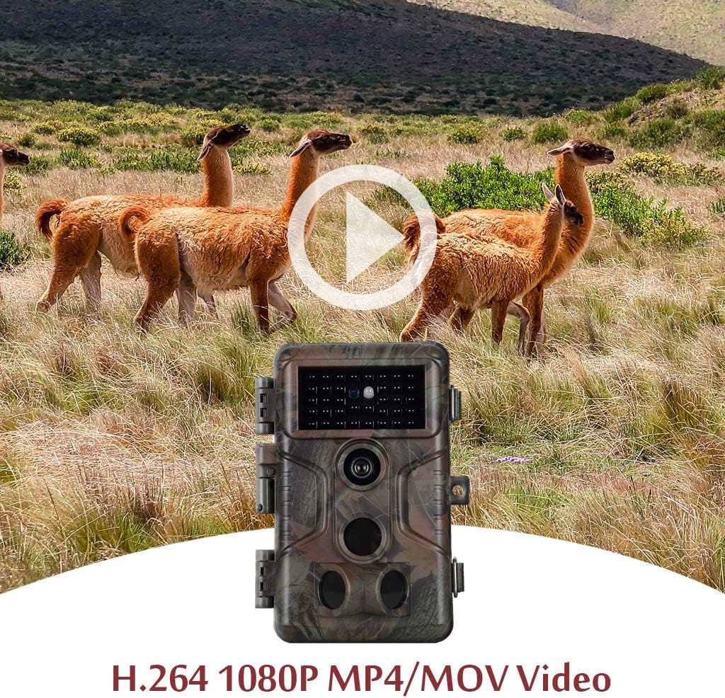 20MP 1080P Trail Camera with Night Vision W5185