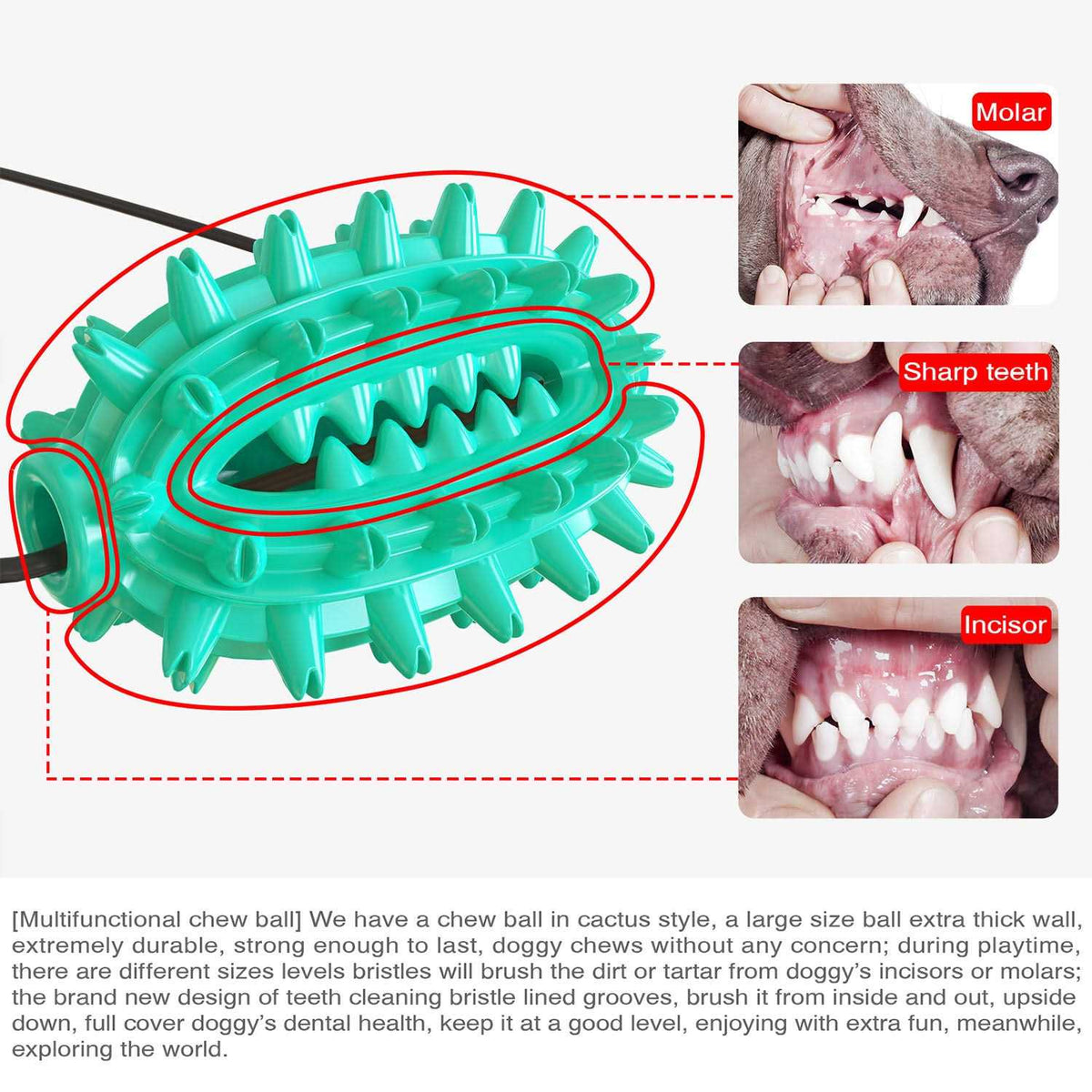Toothbrush Dog Chew Toy E1150