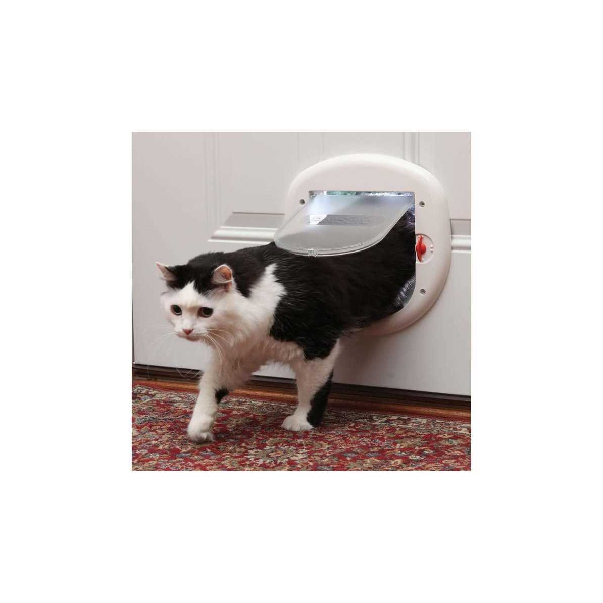 Big Cat Door O698613