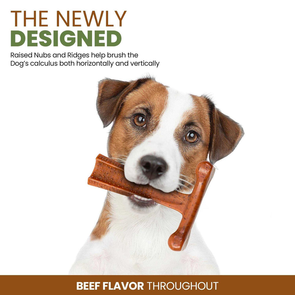 Beef Dog Chew Toy G224