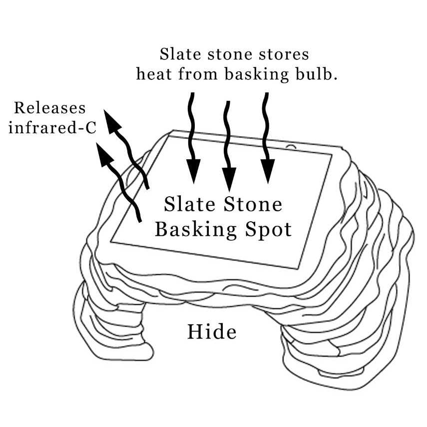 Reptile Basking Platform I5654