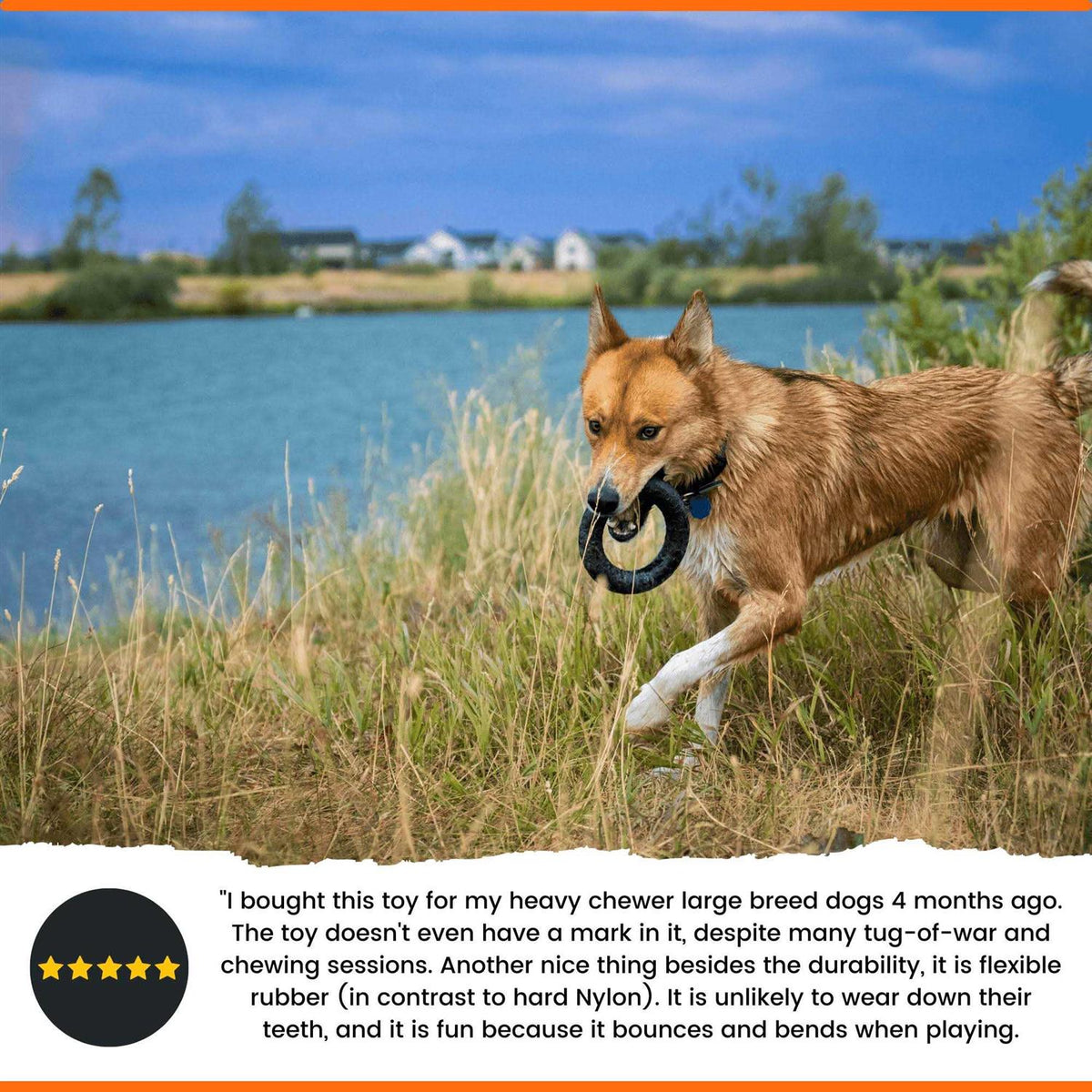 Ultra Durable Chew Dog Toy K908832