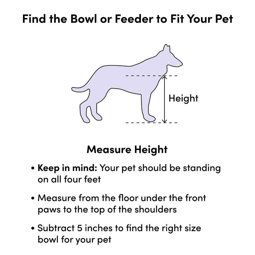 Programmable Pet Food Dispenser G9875