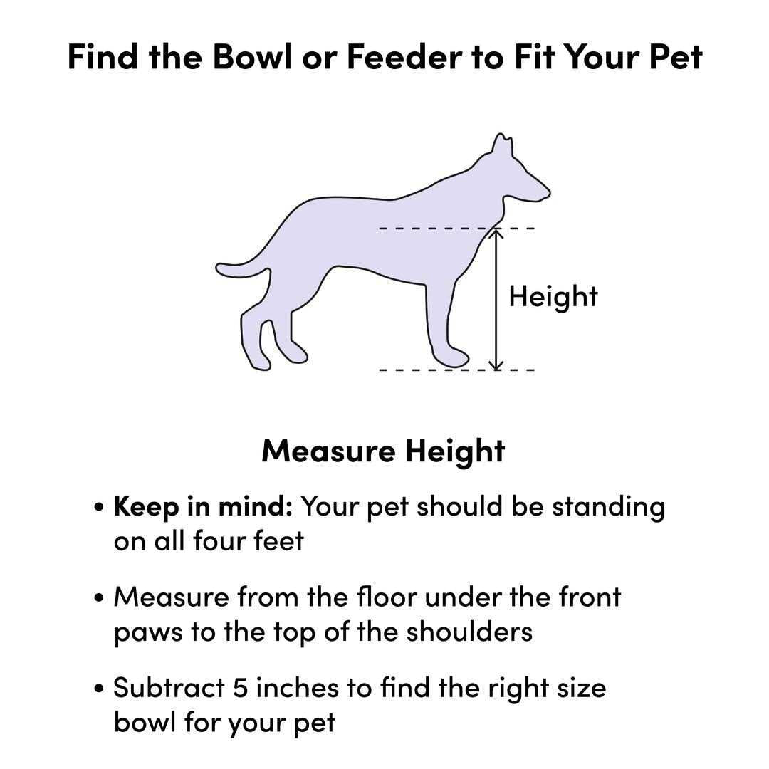 Programmable Pet Food Dispenser G9875