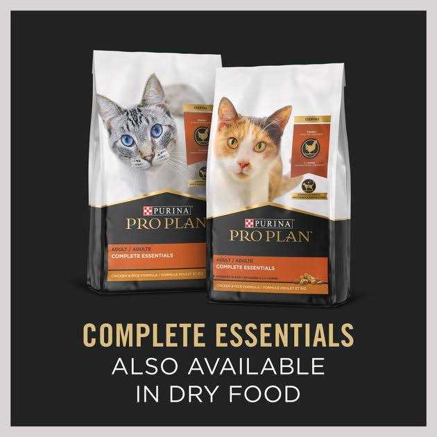 Grain Free Pate Wet Cat Food Turkey and Vegetables Entree V97698