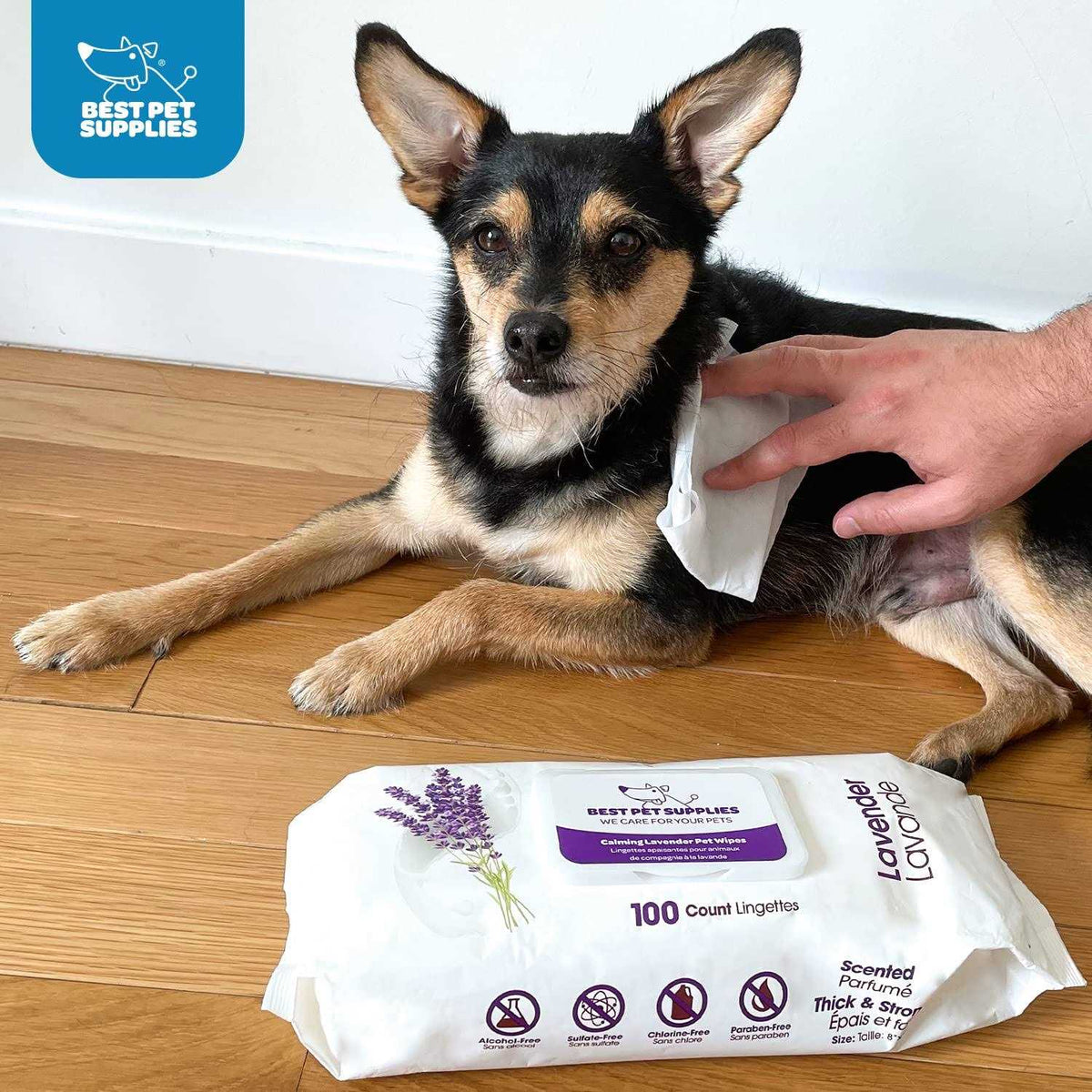 Pet Grooming Wipes for Dogs & Cats L11288