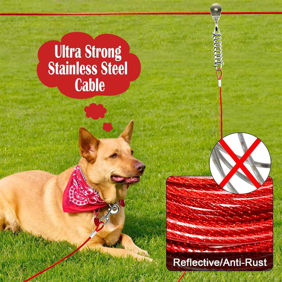 100FT Dog Tie Out Cable F226722