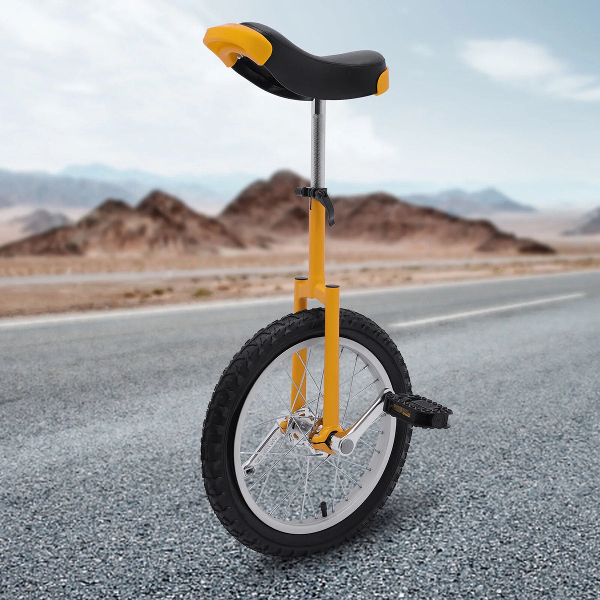 16 In One Wheel Balance Bicycle H175648